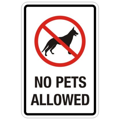 no umbrellas allowed signatures no umbrellas allowed signatures