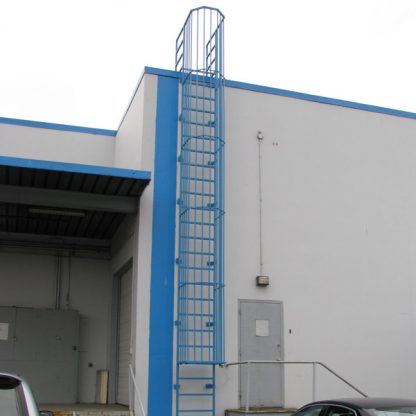 Roof Access Ladder