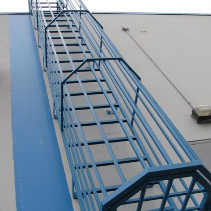 Roof Ladder with Safety Cage